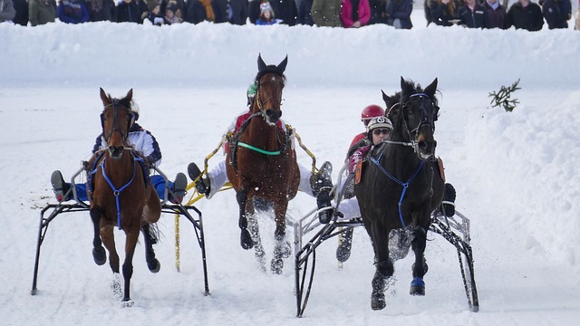球员心理也 球员心理也