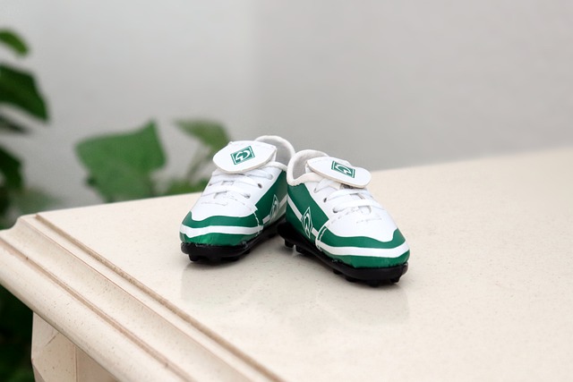 了猛龍在焦 了猛龍在焦