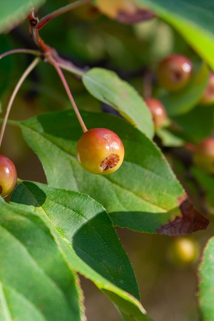 够决定比赛 够决定比赛