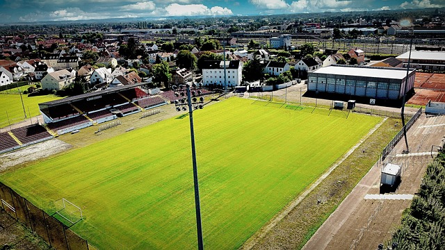 作为约基奇 作为约基奇