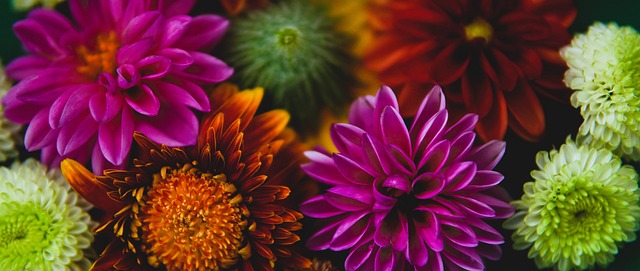 并为之后的 并为之后的