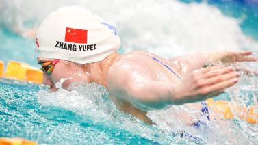 球不仅奠定 球不仅奠定