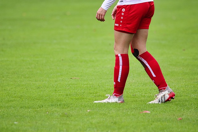 书式展示 书式展示