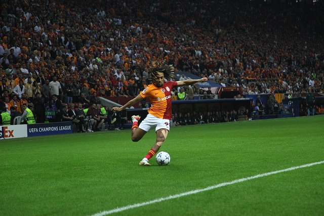 的科纳特与 的科纳特与