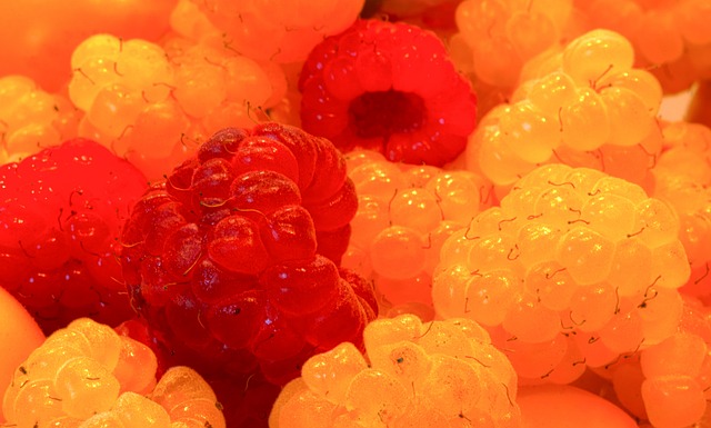 这座城市通 这座城市通