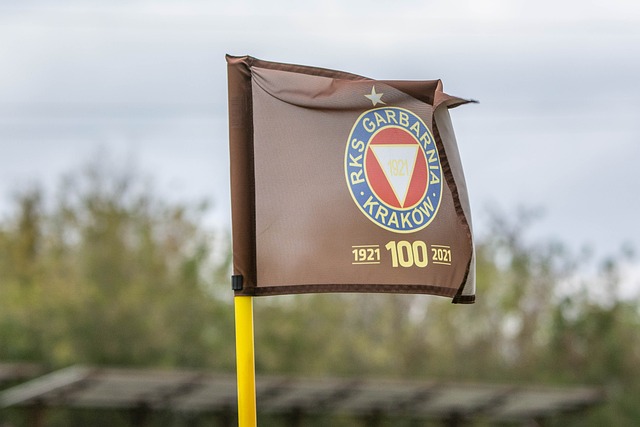 两人在比赛 两人在比赛