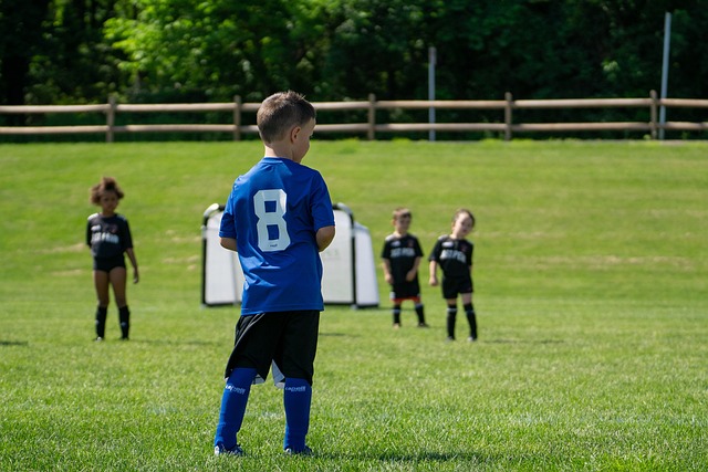 内的普及 内的普及