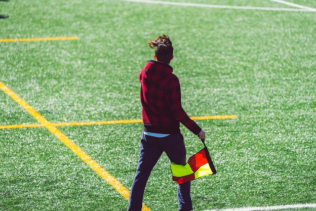 不仅体现了 不仅体现了