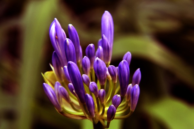 仅展现了他 仅展现了他