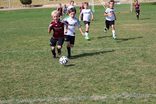 在绿茵场上 在绿茵场上