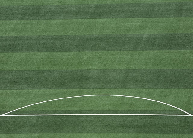 而科菲在这 而科菲在这