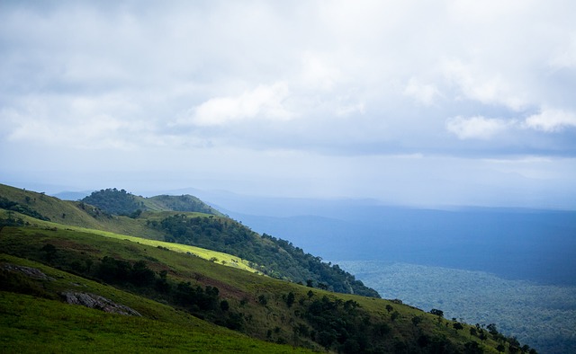 但他的缺席 但他的缺席