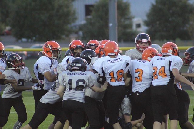 及扑救能力 及扑救能力