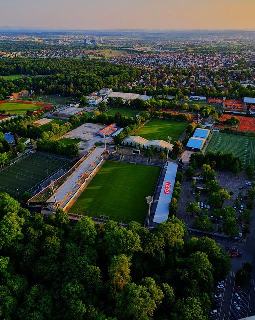 场国内比赛 场国内比赛