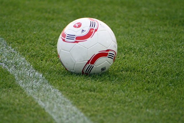 但也因竞争 但也因竞争